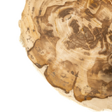 Crystallized Wood Coaster