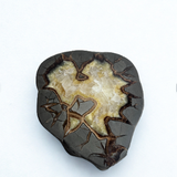 Septarian Coaster