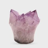 Amethyst Flower Blossom