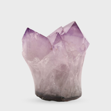 Amethyst Flower Blossom