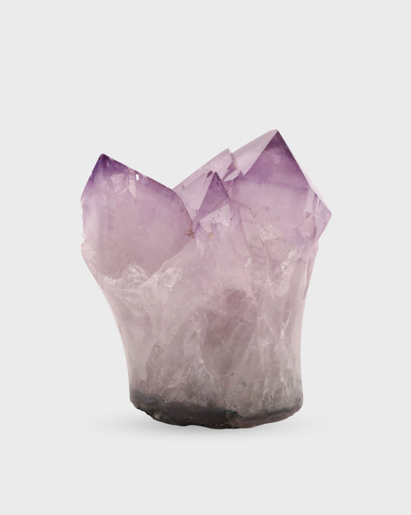 Amethyst Flower Blossom