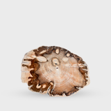 Crystallized Wood Coaster