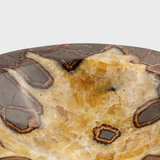 Septarian Dish