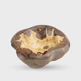 Septarian Dish