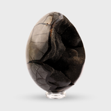 Septarian Egg