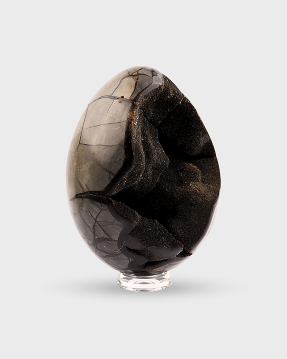 Septarian Egg