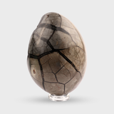 Septarian Egg