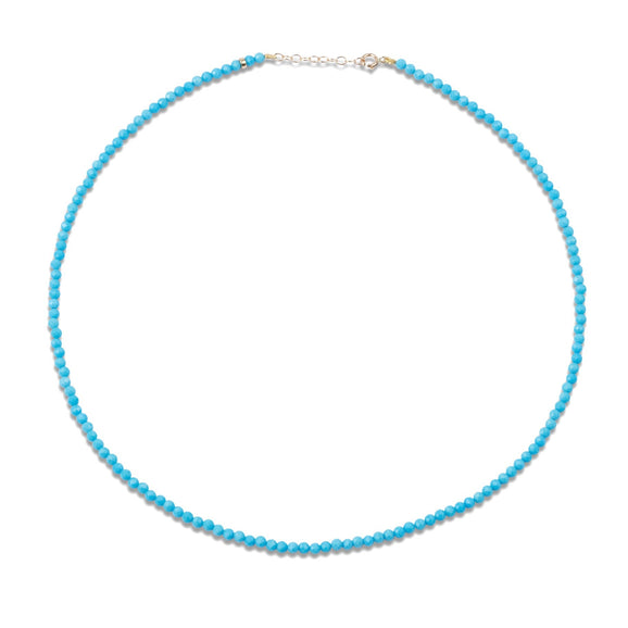 December Birthstone Turquoise Beaded Necklace