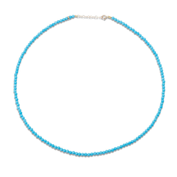 December Birthstone Turquoise Beaded Necklace