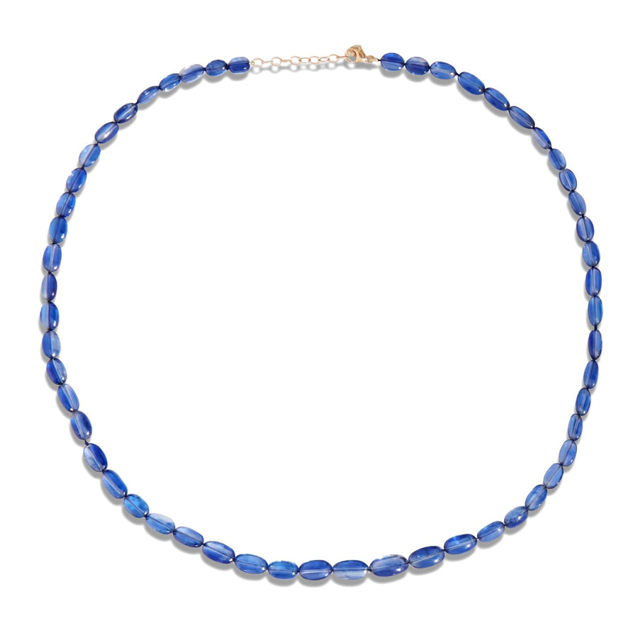 Arizona Kyanite Necklace